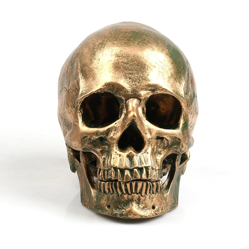 Bronzed Resin Skull