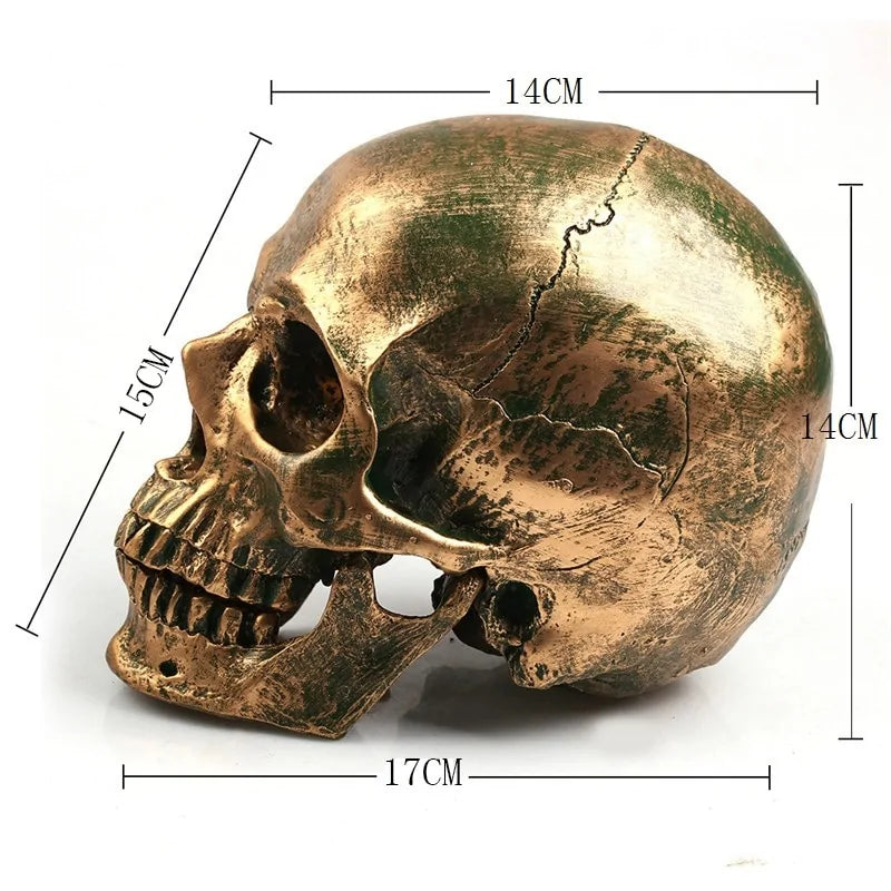 Bronzed Resin Skull