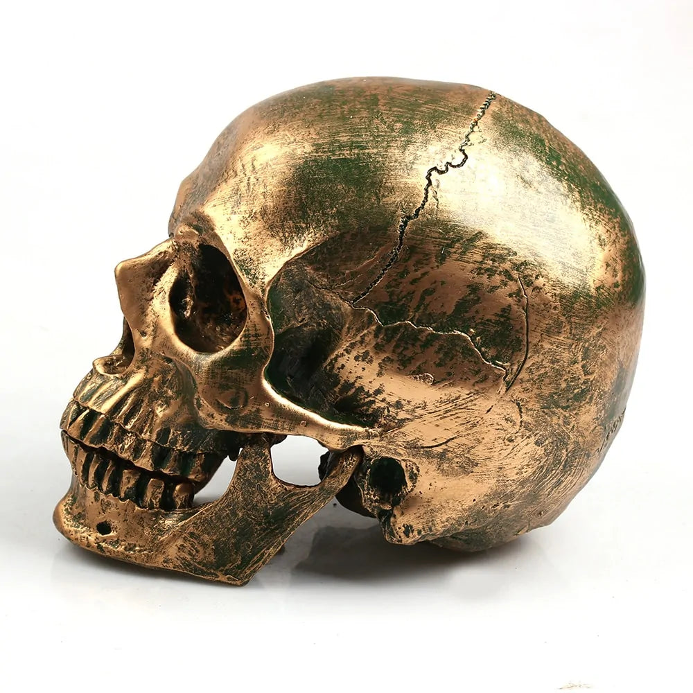 Bronzed Resin Skull