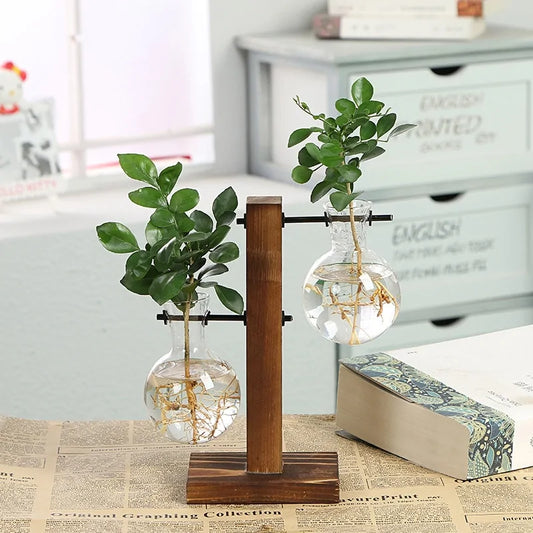 Small transparent vases for plants